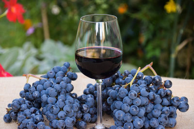 A glass of red wine and grapes wine fruits
