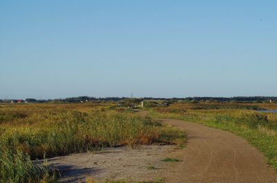 Scenic view of field against clear sky