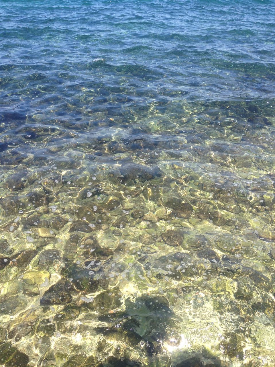 water, nature, waterfront, full frame, rippled, backgrounds, beauty in nature, underwater, sea, motion, high angle view, blue, rock - object, sunlight, day, swimming, outdoors, tranquility, no people, animal themes