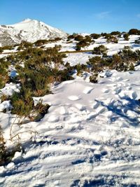 Snow covered field against sky