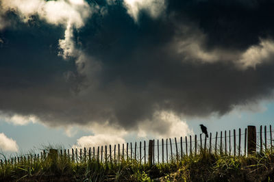 Storm clouds in sky