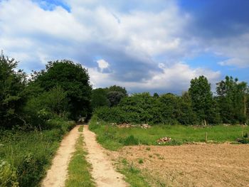 Dirt road amidst trees on field against sky
