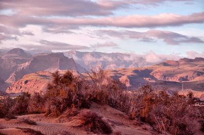 Scenic view of landscape against sky during sunset