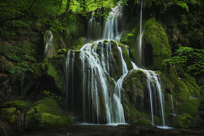 Scenic view of waterfall in forest