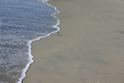 Scenic view of beach