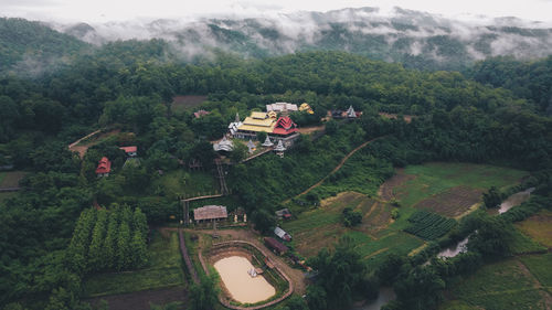 High angle view of trees on field