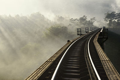 Railroad tracks amidst trees against sky