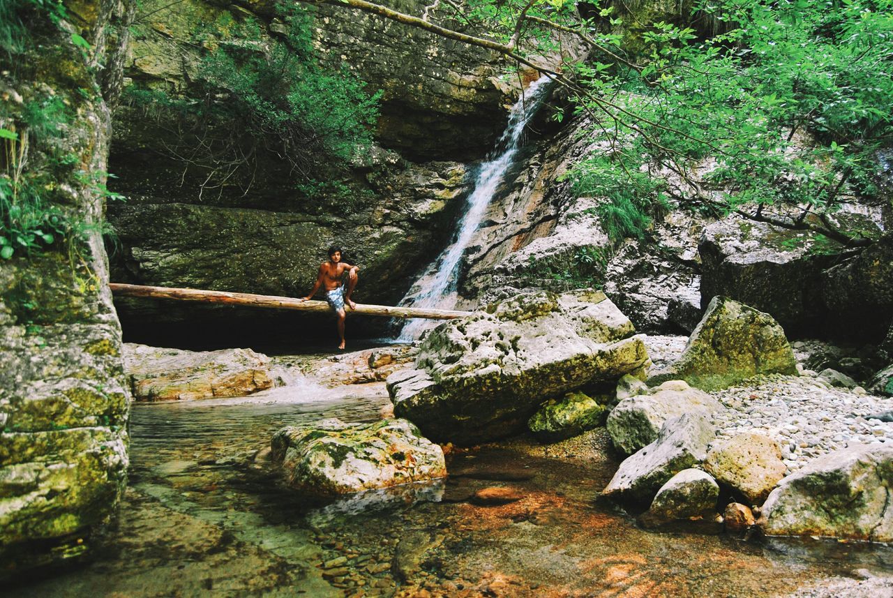 water, rock - object, animal themes, tree, nature, rock, forest, plant, one animal, waterfall, stream, beauty in nature, sitting, full length, rock formation, day, mammal, river, flowing water