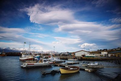 Boats in harbor