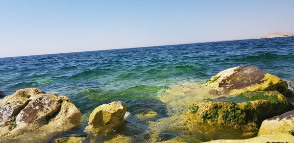 Scenic view of sea against clear blue sky