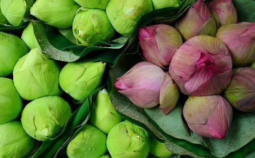 Full frame shot of vegetables