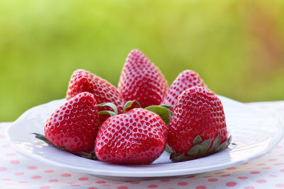 Close-up of strawberries in plate