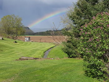 Scenic view of field against rainbow in sky