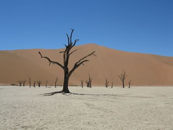 Scenic view of desert against clear sky