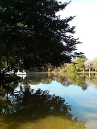 Scenic view of lake in forest against sky