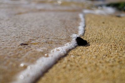 Close-up of water on sand at beach