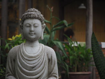 Statue of buddha