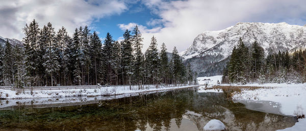 Snow covered plants by lake against sky