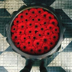 Directly above shot of red chili peppers