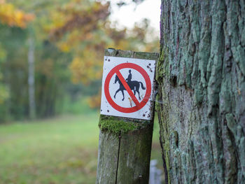 Close-up of road sign against tree trunk