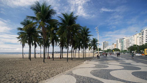 Palm trees on beach against sky