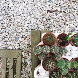 Full frame shot of white background