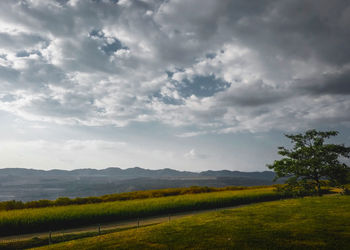 Scenic view of field against sky