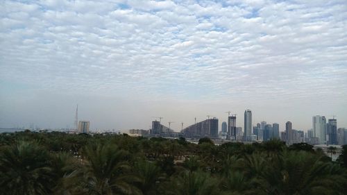 Trees and cityscape against sky