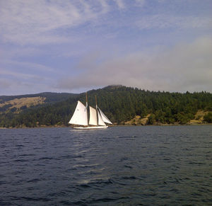 Sailboat sailing on sea against sky