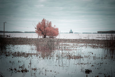 Scenic view of lake against sky during winter