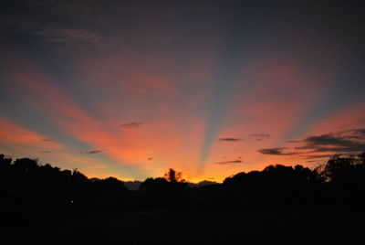 Silhouette of trees at sunset