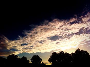 Low angle view of trees against sky