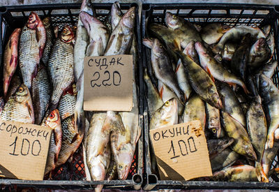 Close-up of fish for sale at market stall