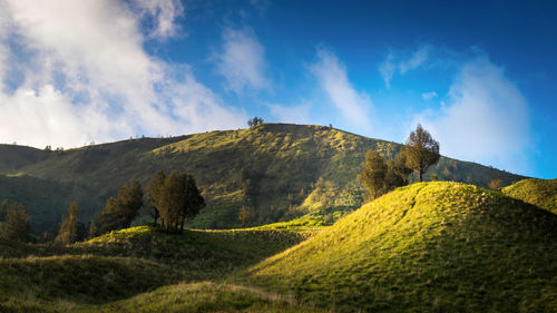 Panoramic view of landscape against sky