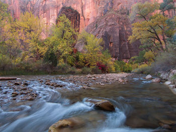 River flowing through rocks in forest