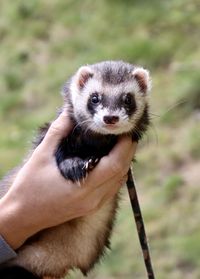 Close-up portrait of hand holding stick