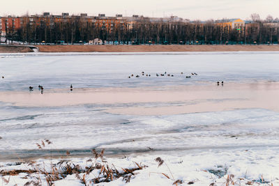 Scenic view of frozen lake against sky during winter