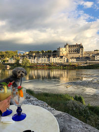 Man holding ice cream by river against buildings in city