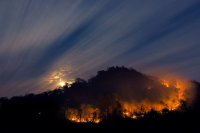 Forest fire, wildfire burning tree on mountain with red and orange color 