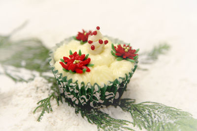 Close-up of cup cake