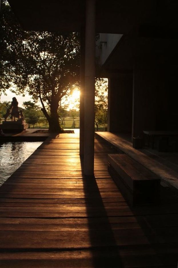 silhouette, sunlight, sunset, bench, built structure, wood - material, tree, shadow, architecture, sitting, tranquility, the way forward, pier, railing, leisure activity, boardwalk, architectural column, lifestyles