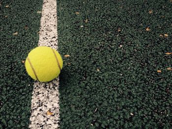 Tennis ball on a court