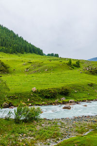 Scenic view of landscape against sky
