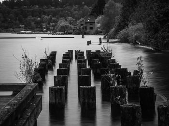 Wooden posts on river by trees