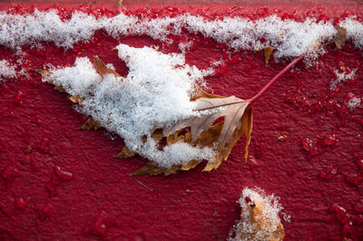Close-up of red wall