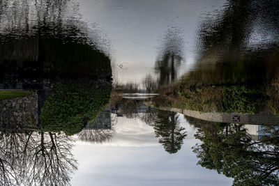 Reflection of trees in lake against sky