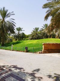 Palm trees on field against clear sky