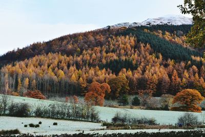 Scenic view of mountains during winter