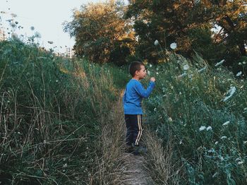 Boy standing by tree against sky