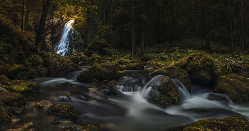  waterfall in the  forest